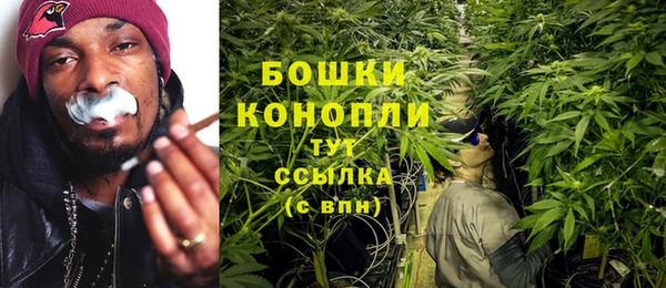 гашик Карпинск