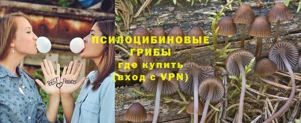 гашик Карпинск
