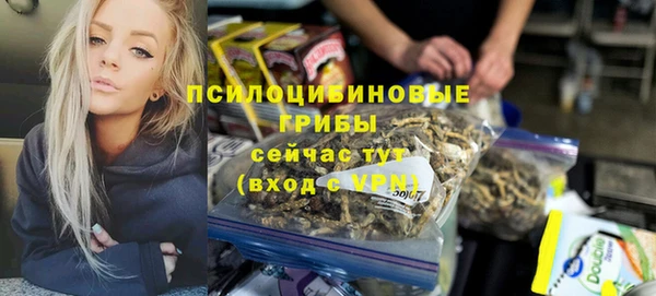 мдпв Карталы