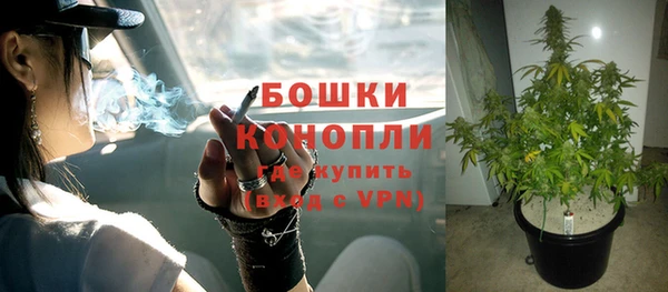 ALPHA PVP Касимов
