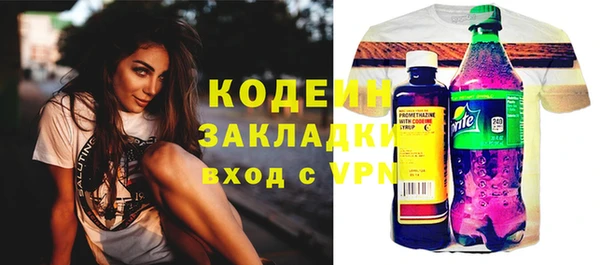 гашик Карпинск