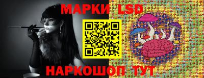 дурь Кингисепп