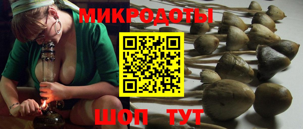 купить   Псилоцибиновые грибы Psilocybine cubensis  Саранск  Вход с VPN  Галлюциногенные грибы GOLDEN TEACHER 