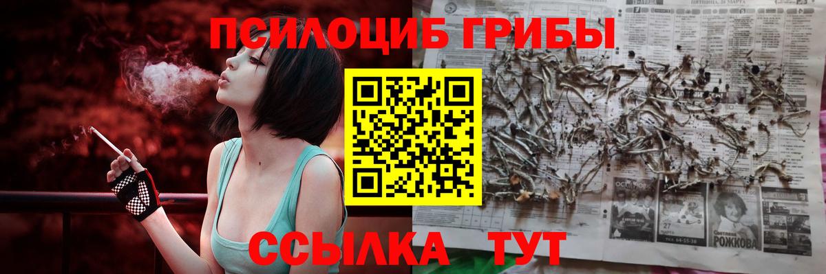 Галлюциногенные грибы GOLDEN TEACHER Саранск